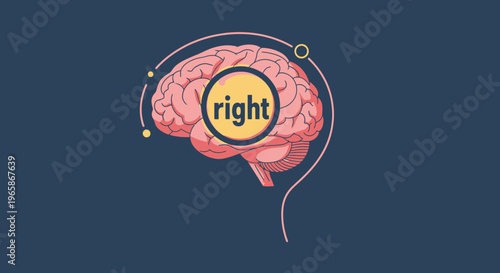 Human Brain with Magnifying Glass Highlighting "Right" on Dark Blue Background, Conceptual Vector Illustration.