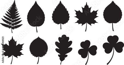 Twelve distinct green leaf silhouettes on white background green leaves black leaves 1 plant leaves