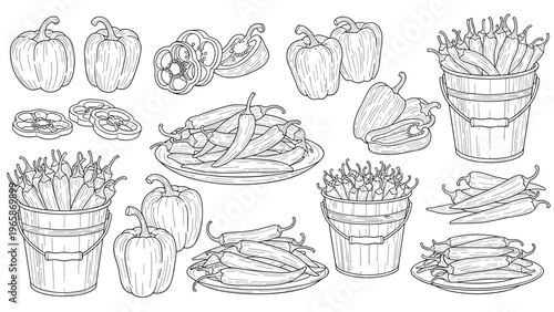Comprehensive set of pepper illustrations includes detailed line drawings of bell peppers and spicy chilies in buckets and on serving plates.