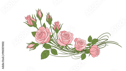 Graceful arrangement of blooming pink roses and delicate buds with flowing green stems and leaves creating a romantic floral design element.