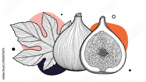 Detailed botanical illustration features a whole fig, a fig cut in half to show the inside, and a large green leaf with abstract shapes.