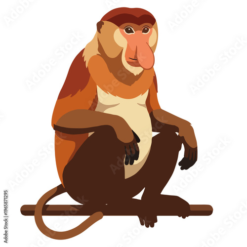 Illustration vector of Proboscis monkey (Nasalis larvatus)