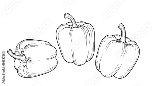 Detailed line drawing of three bell peppers shown from different angles in a classic botanical illustration style for coloring.