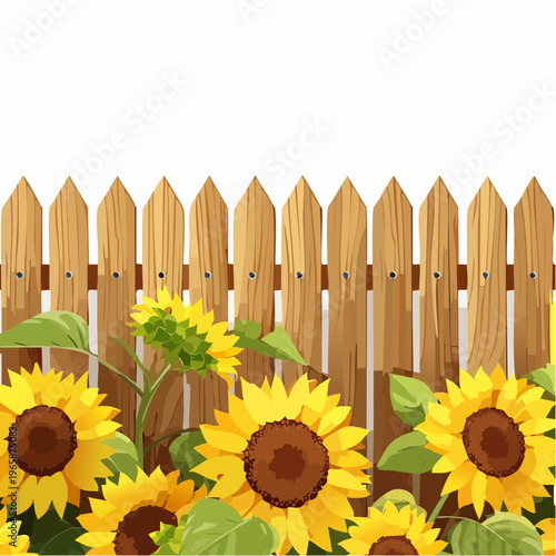 Sunflowers blooming near a wooden fence in a garden scene
