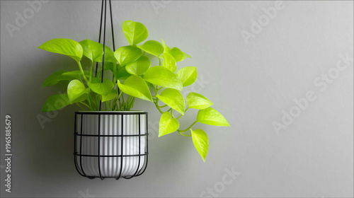 Solitary Black Wire Hanging...