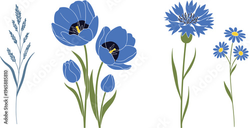 Blue Floral Collection with Poppies, Cornflowers, and Lavender, Perfect for Nature, Garden, and Spring-Themed Designs