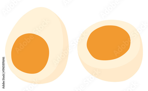 完熟ゆで卵の断面のイラスト ベクター素材