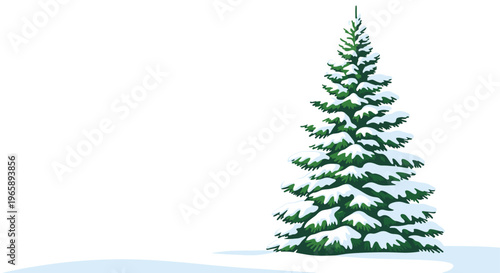 Majestic evergreen fir tree heavily covered in fresh white snow stands alone on a winter plain against a blank background.