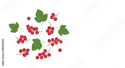 Ripe red currant berries and green leaves are scattered across a white surface in a fresh and natural berry composition.