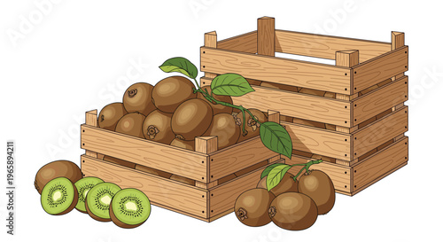 Two wooden crates filled with ripe kiwi fruits and a few slices and leaves scattered in the foreground isolated on a white background for produce.
