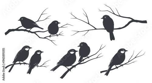 Silhouette of birds on branches.