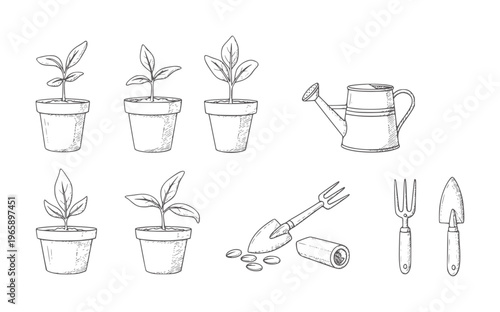 Hand drawn of potted seedlings and gardening tools plant sprout watering