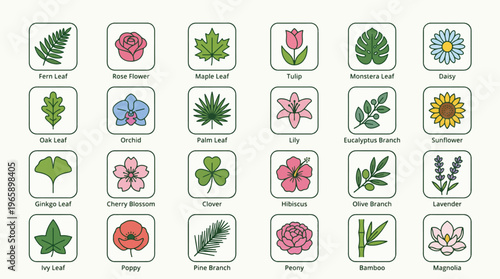 A Colorful Assortment of Floral and Leafy Illustrations Featuring Various Plant Species and Botanical Elements