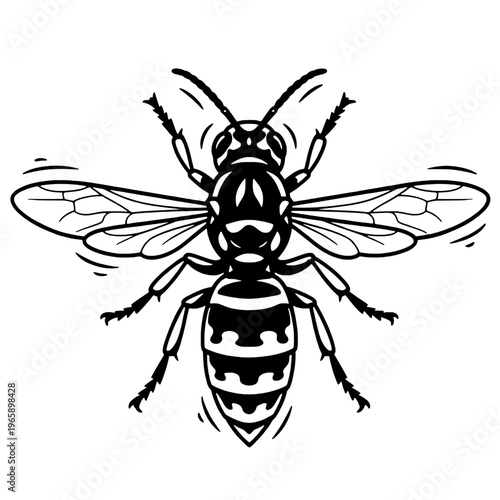 Bee silhouette vector design