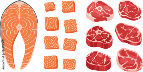 Illustration of Fresh Salmon and Beef Cuts, Including Sliced Salmon Steaks and Tender Beef Steaks in a Clean Cartoon Style