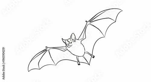 Line drawing of a bat in flight, wings spread wide