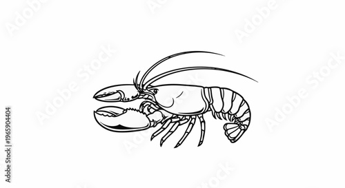 Outline illustration of a clawed crustacean with antennae, legs and tail
