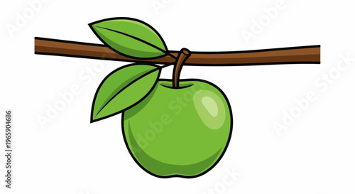 Single green apple with two leaves hangs from a brown branch