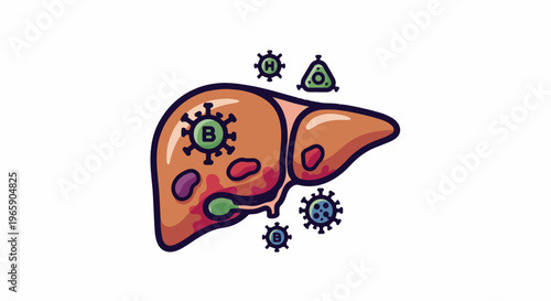 Cartoon liver attacked by viruses marked B, H, and O