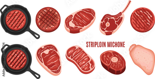 Collection of Grilled Meat Cuts Including Striploin, Sirloin, and Other Steak Varieties in a Cartoon Style