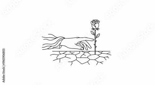 Hand reaching out to nurture a lone rose growing in dry, cracked earth