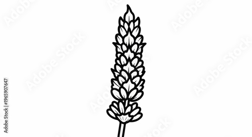 Simple black and white line art of a single lavender flower stalk