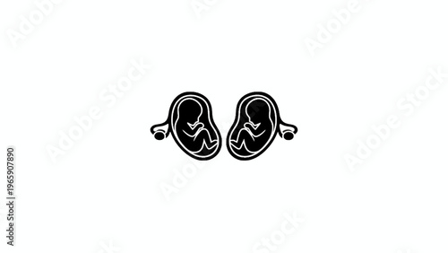 Twin fetuses silhouette icon isolated on white background