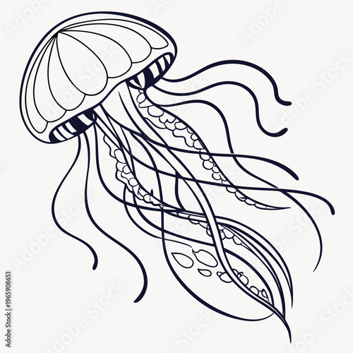 Elegant jellyfish vector drawing with intricate tentacles and detailed bell structure for coloring activities or marine themed creative projects now