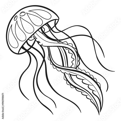 Artistic jellyfish vector illustration featuring decorative teardrop shapes on bell and long flowing tentacles for adult coloring books and designs