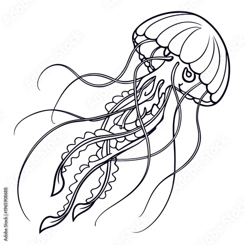 Jellyfish vector illustration in outline style for coloring book or tattoo art simple black and white drawing of graceful underwater creature