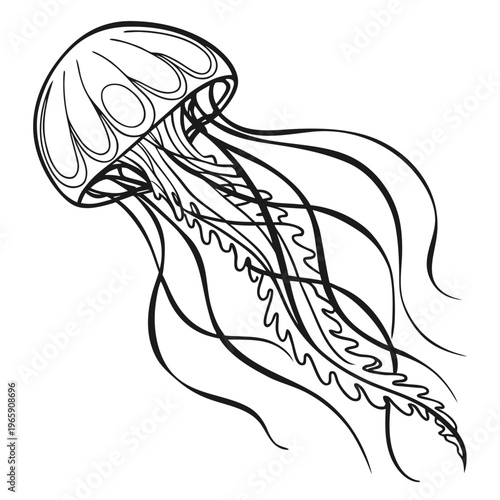 Jellyfish vector illustration in outline style for coloring book or tattoo art simple black and white drawing of graceful sea animal