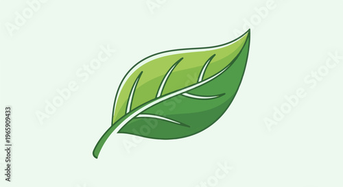 A simple green leaf with veins drawn in white outline on a light green background