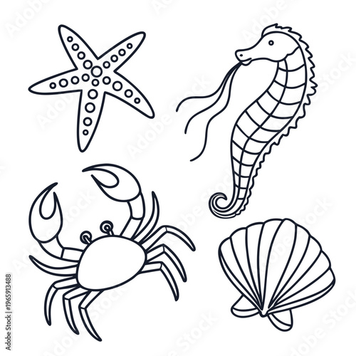 Starfish seahorse crab and seashell vector graphics in black outline style for beach themed design projects and nature study educational materials