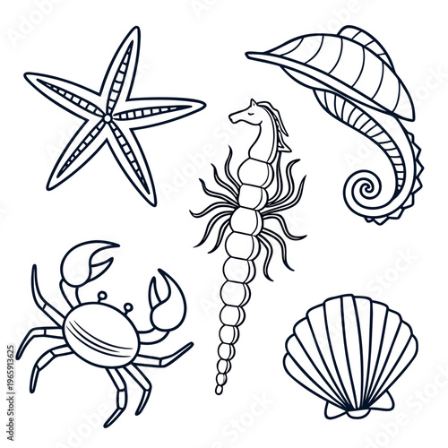 Ocean life illustration pack with decorative starfish seahorse crab and seashell outline graphics perfect for coastal themed coloring and crafting