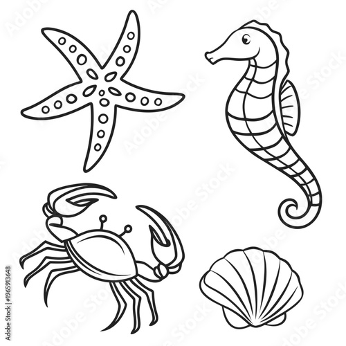 Classical seahorse crab starfish and seashell line art set for educational materials marine biology projects and children activities coloring pages