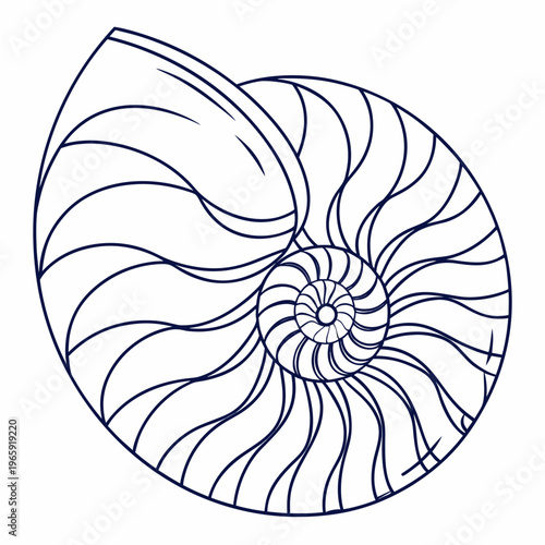 фотографія Nautilus shell outline vector illustration, sea snail with intricate spiral pattern, nature design element