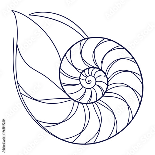 Nautilus shell cross-section highlighting spiral structure and dividing chambers, dark blue outline on white, clean graphic art