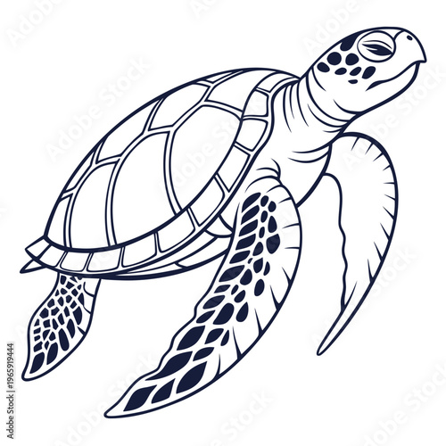 Majestic sea turtle swimming forward in detailed monochrome line art vector illustration isolated on white background for coastal nautical designs