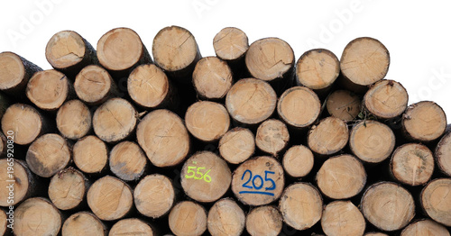 Isolierte freigestellte aufgestapelte gefällte Rundholz Baumstämme im PNG Format
