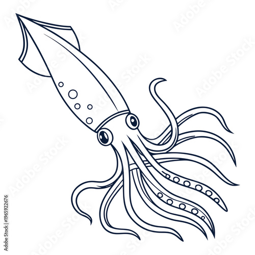 Detailed squid outline vector with suction cups on tentacles and large circular eyes perfect for coloring pages or marine life educational resources