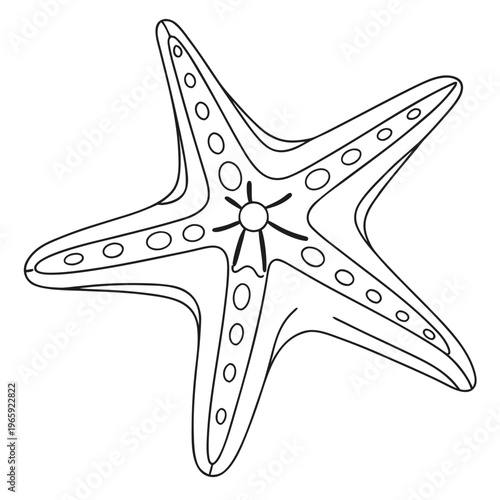 Starfish bottom side outline drawing. nautical underwater life vector illustration. ocean nature design element marine animal collection