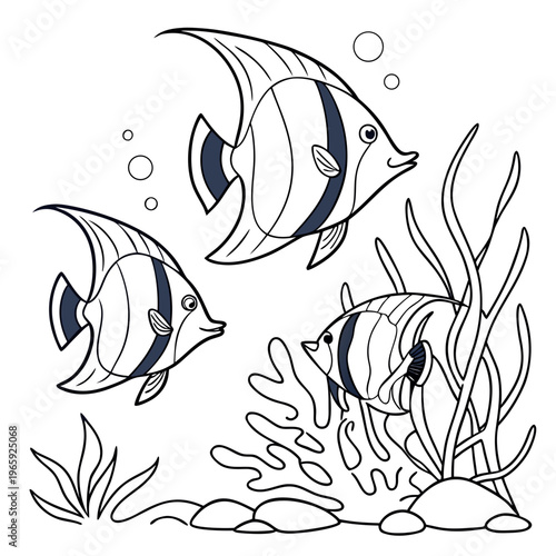 Coloring page of tropical fish. black and white image of angelfish and sea plants. adult or children's drawing book of ocean life