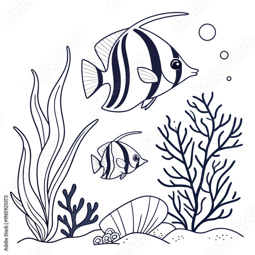 Coloring page of tropical fish. black and white image of angelfish, seashell and sea plants for adult or children's drawing book
