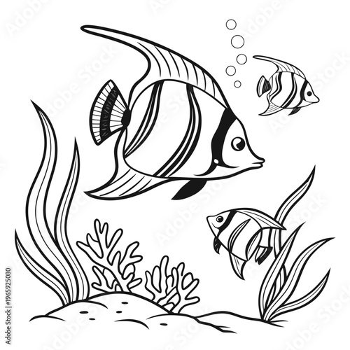 Coloring page of tropical fish. black and white image of angelfish and sea plants for adult or children's drawing book of marine life