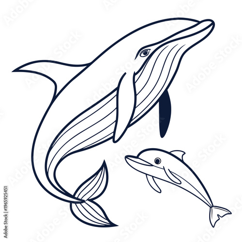 Minimalistic line art illustration of a graceful whale and playful dolphin swimming together isolated on a clean white background