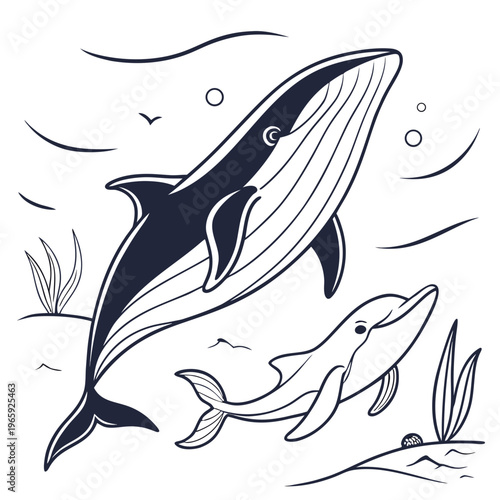 Minimalistic line art illustration of a majestic whale and playful dolphin swimming in natural underwater habitat with plants