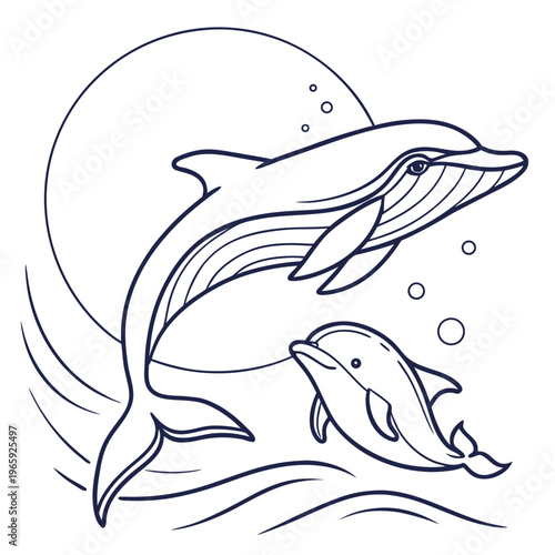 Humpback whale and dolphin jumping from sea water under moon vector illustration in linear style for coloring book page or ocean marine life design
