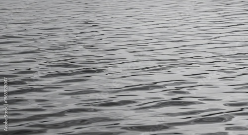 Close-up View of Rippling Water Surface in Monochrome Tones.