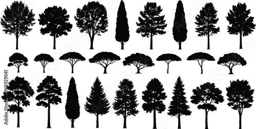 Large Collection of Black Vector Tree Silhouettes Including Pine Spruce Cypress and Deciduous Species Isolated on White Background for Architectural Landscape Design Projects