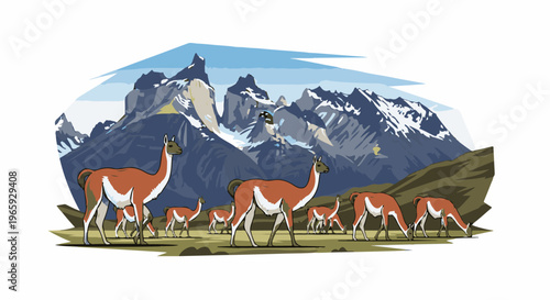 A herd of guanacos grazes in a mountainous landscape with snow-capped peaks
